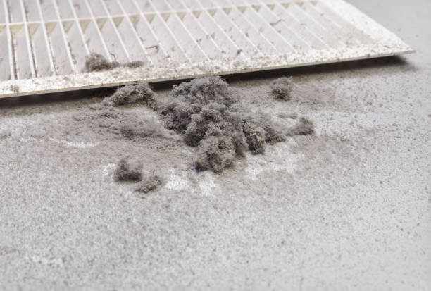 Best Emergency Air Duct Cleaning  in Rockvale, TN