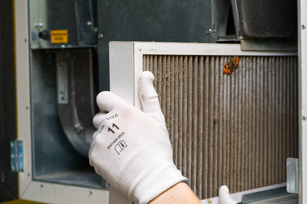 Best Affordable HVAC Duct Cleaning  in Rockvale, TN